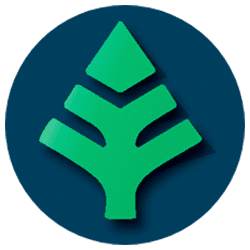 Xylem